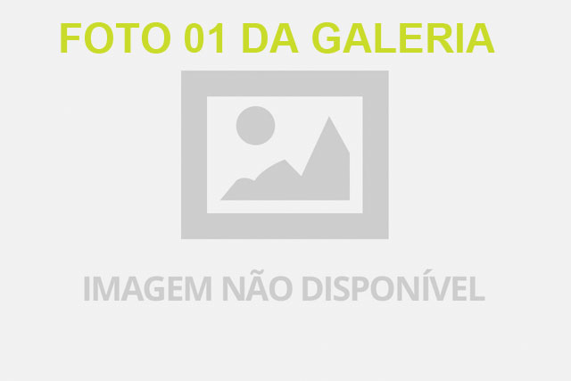 galeria1